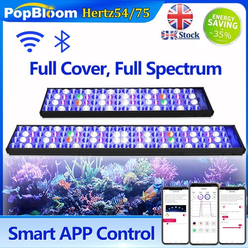Popbloom wifi illuminazione - popbloom,