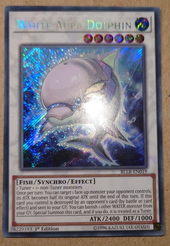 White aura dolphin - white,