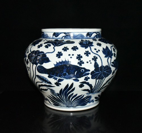 Antico vaso alghe pesce loto