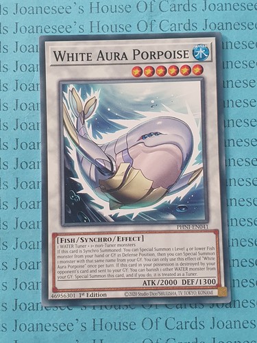 White aura porpoise phni - aura,