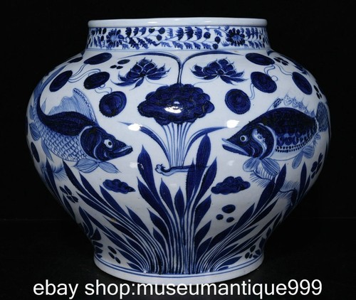 Antico vaso vaso alghe pesce
