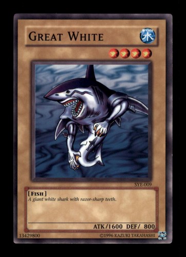 Great white sye - white, common