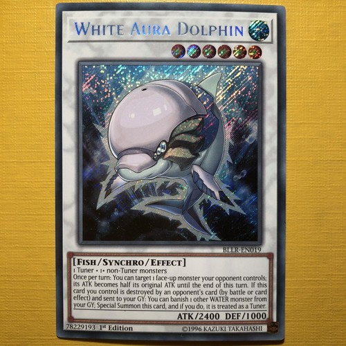 White aura dolphin - -,