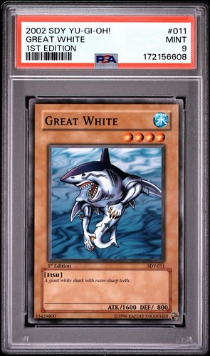 2002 great white sdy - 2002!,